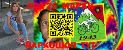 СК Моздок
