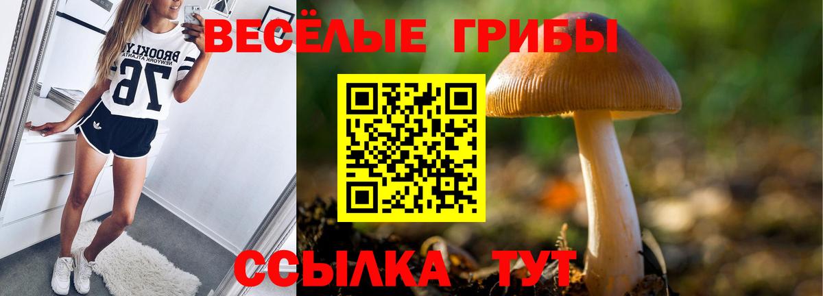 Галлюциногенные грибы ЛСД Удомля